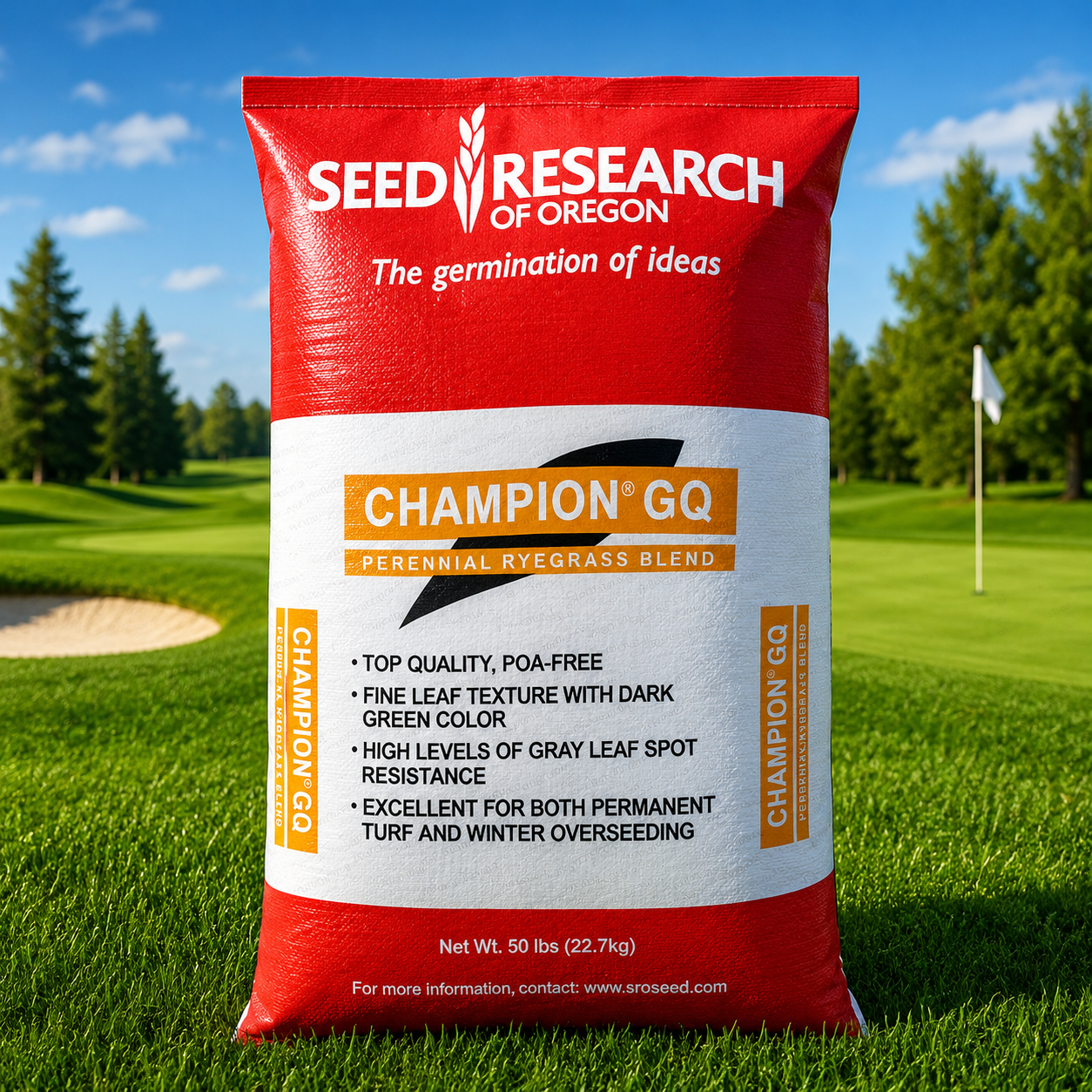 Champion GQ Perennial Ryegrass Seed - Seed World
