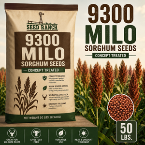 milo seeds for planting 9300 Milo Grain Sorghum Seed