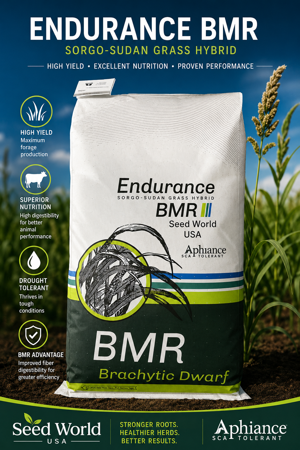 Endurance BMR Sorghum Sudangrass Seeds (Aphid Tolerant) - Seed World