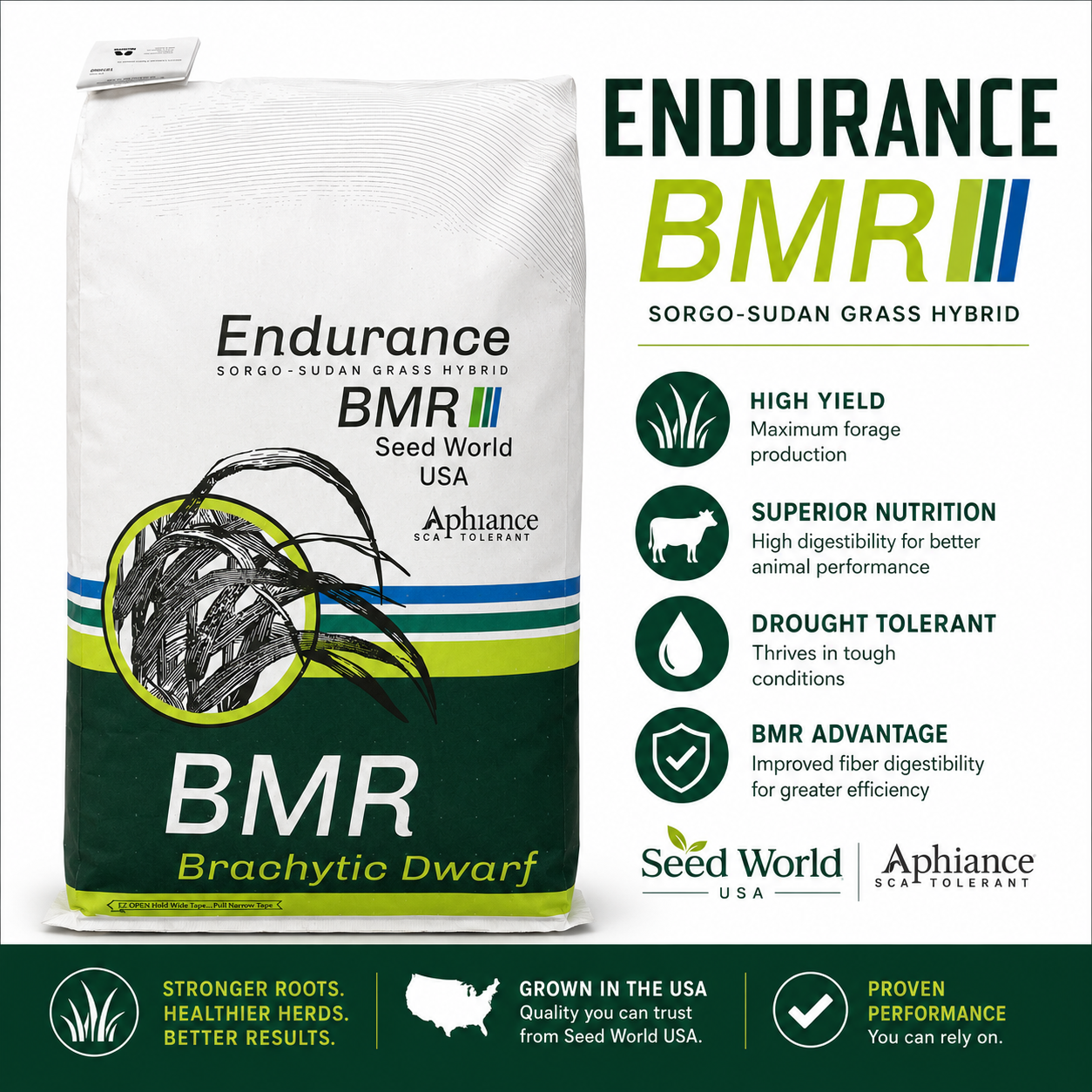 Endurance BMR Sorghum Sudangrass Seeds (Aphid Tolerant) - Seed World