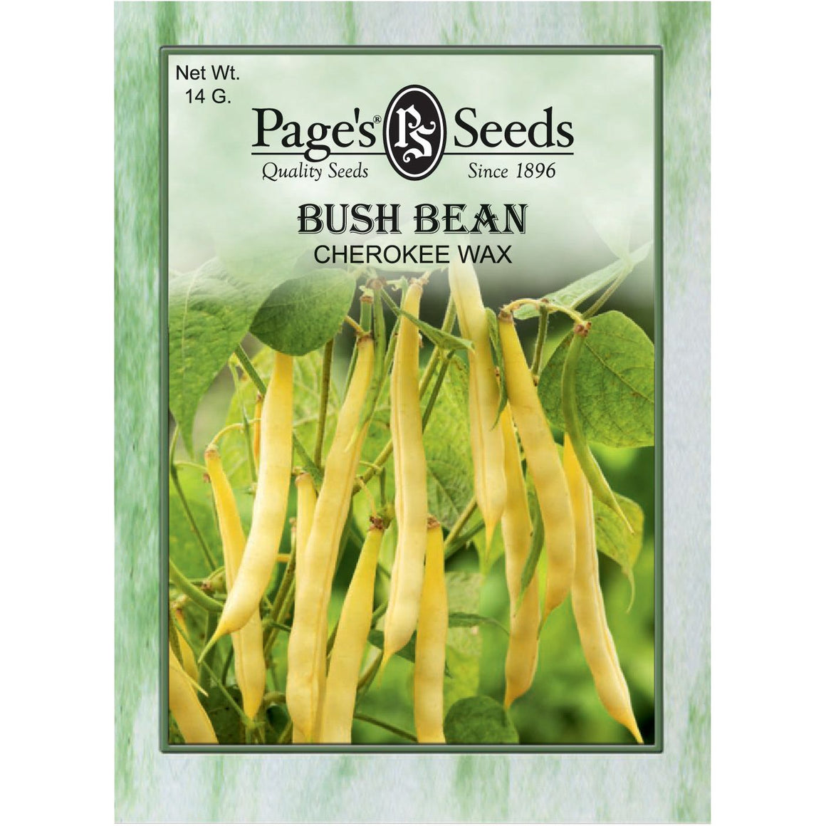 Bush Bean Cherokee Wax (Yellow) - 1 Packet - Seed World