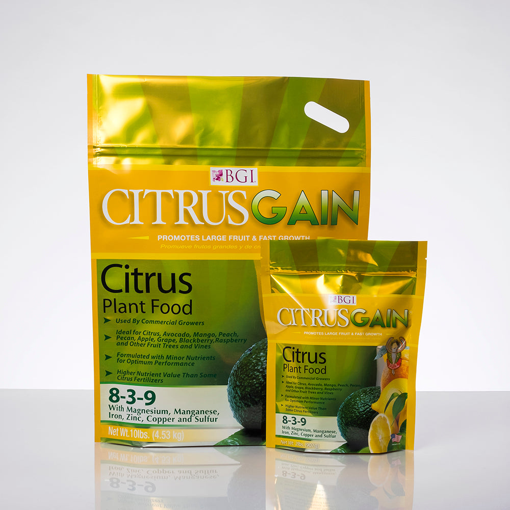 indoor citrus plant fertilizer BGI Citrusgain Citrus 8-3-9 - Citrus Plant Food Fertilizer