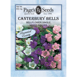 Canterbury Bell Flower, Single Mix - Packet - Seed World
