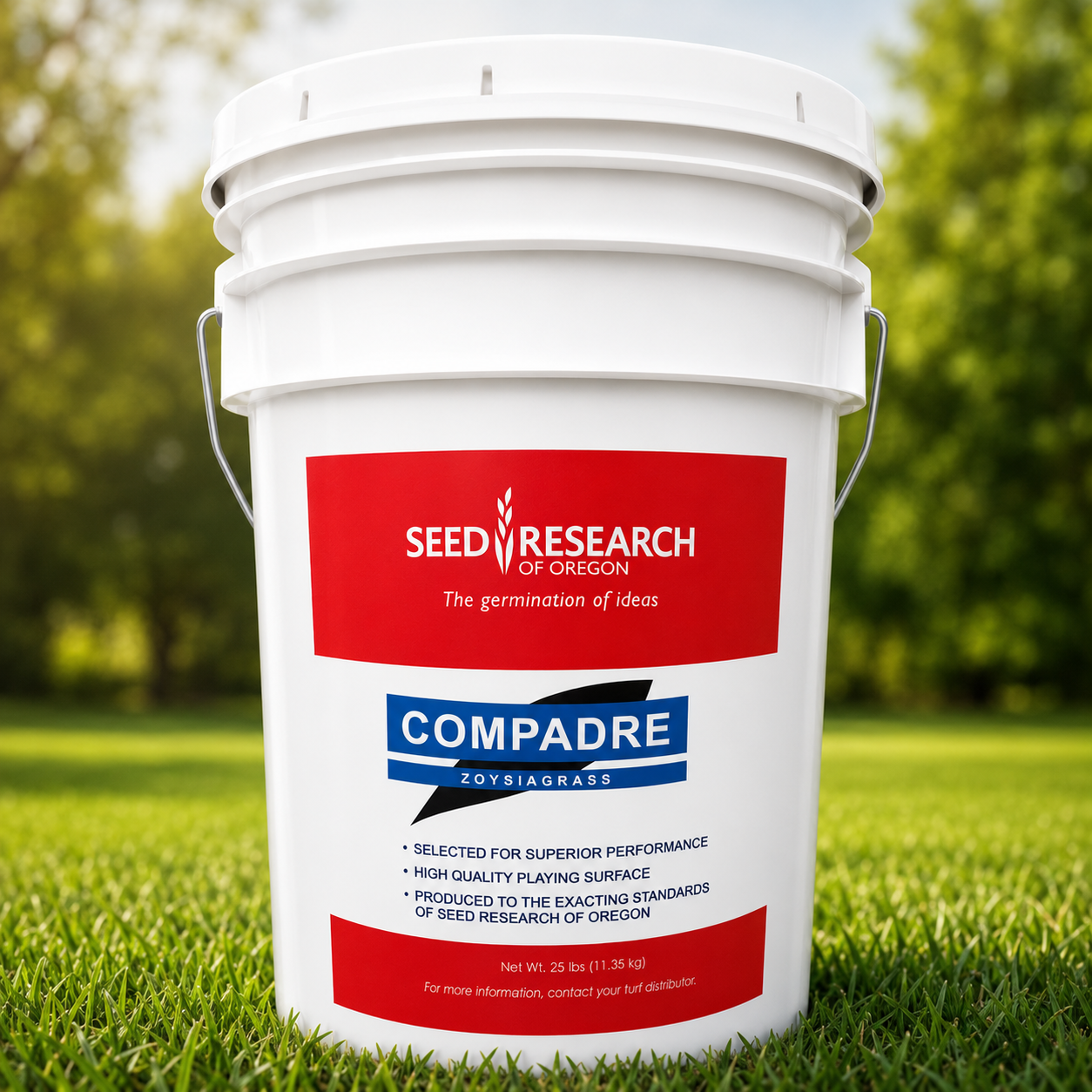 Compadre Zoysia Grass Seed - Seed World