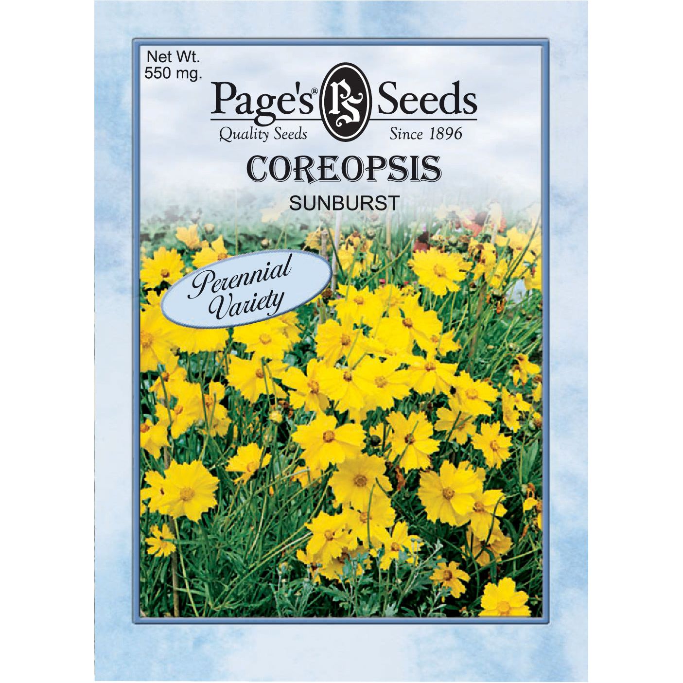 coreopsis flower seeds Coreopsis Sunburst Seed Perennial- 1 Packet