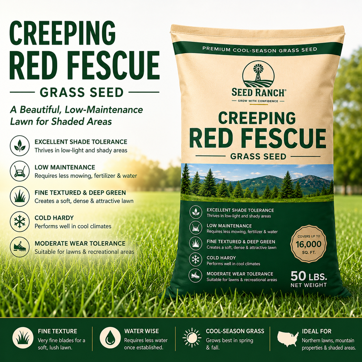 Creeping Red Fescue Grass Seed