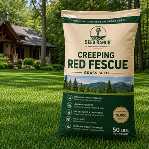 creeping red fescue grass seed lowes Creeping Red Fescue Grass Seed