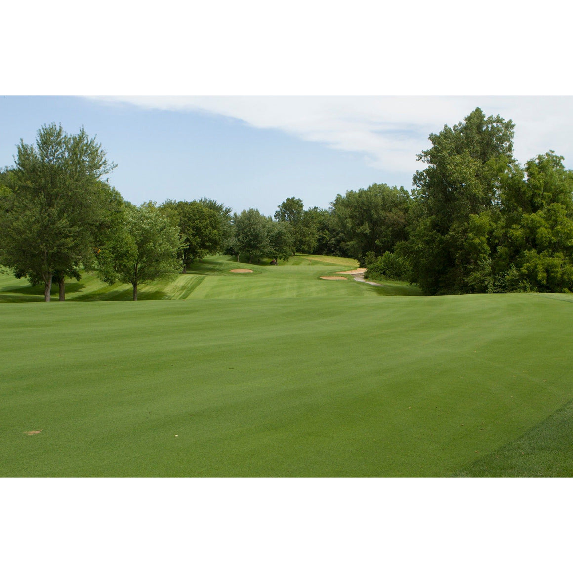 Crystal Bluelinks w/ Aquatrols Bentgrass Seed - Seed World