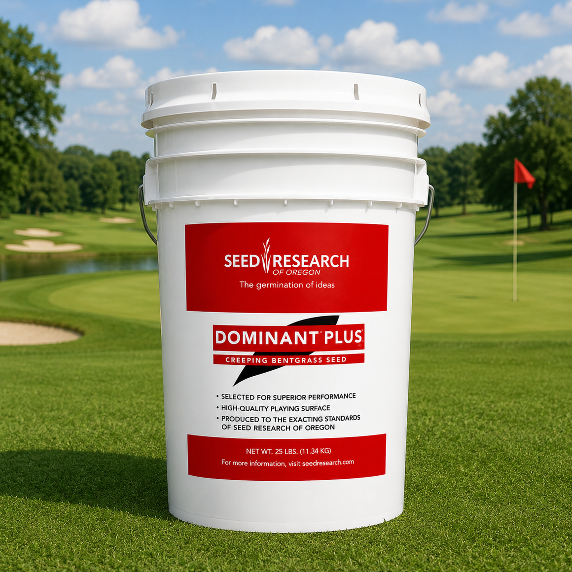 Dominant Plus Creeping Bentgrass Seeds