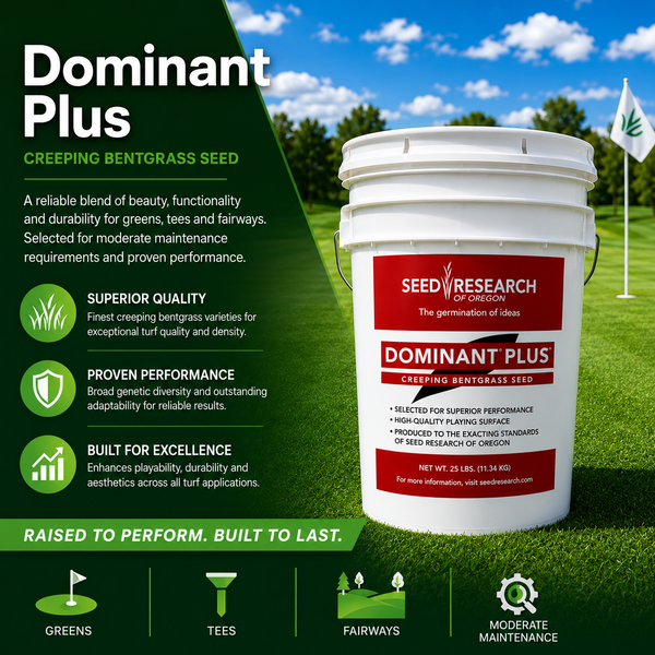 Dominant Plus Creeping Bentgrass Seeds | Seed World