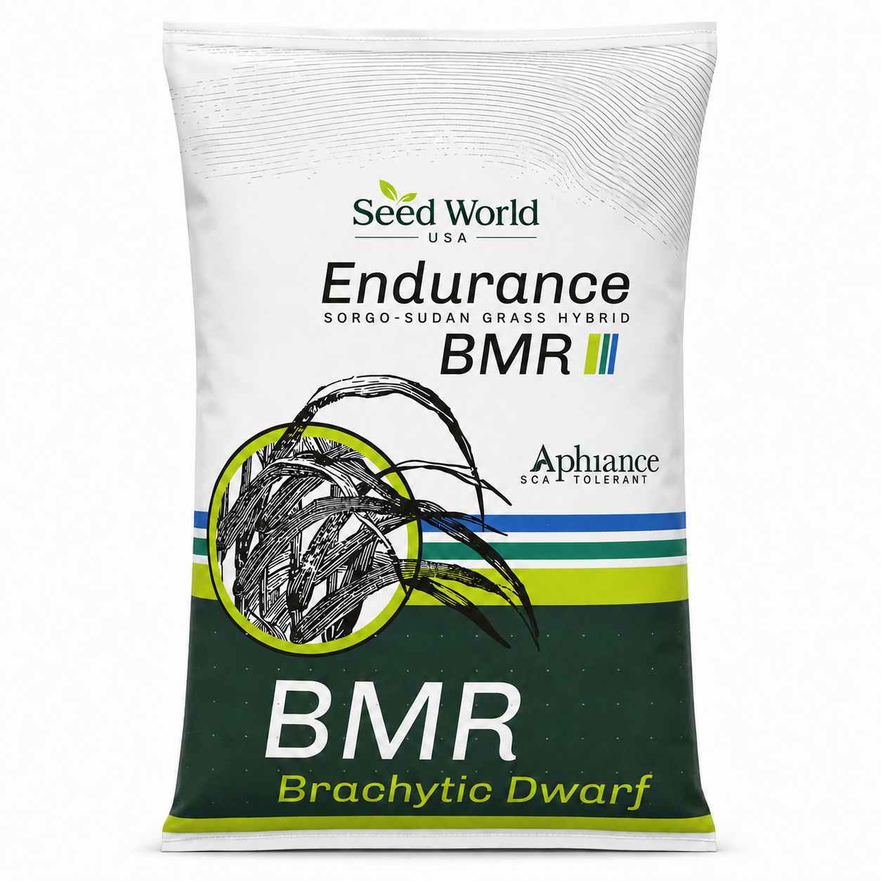 Endurance BMR Sorghum Sudan Grass Seed (Aphid Resistant)