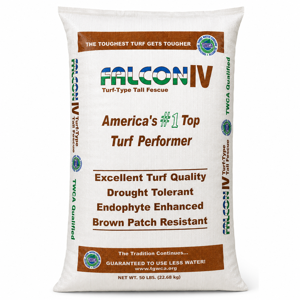 Falcon IV Turf-Type Tall Fescue Grass Seed