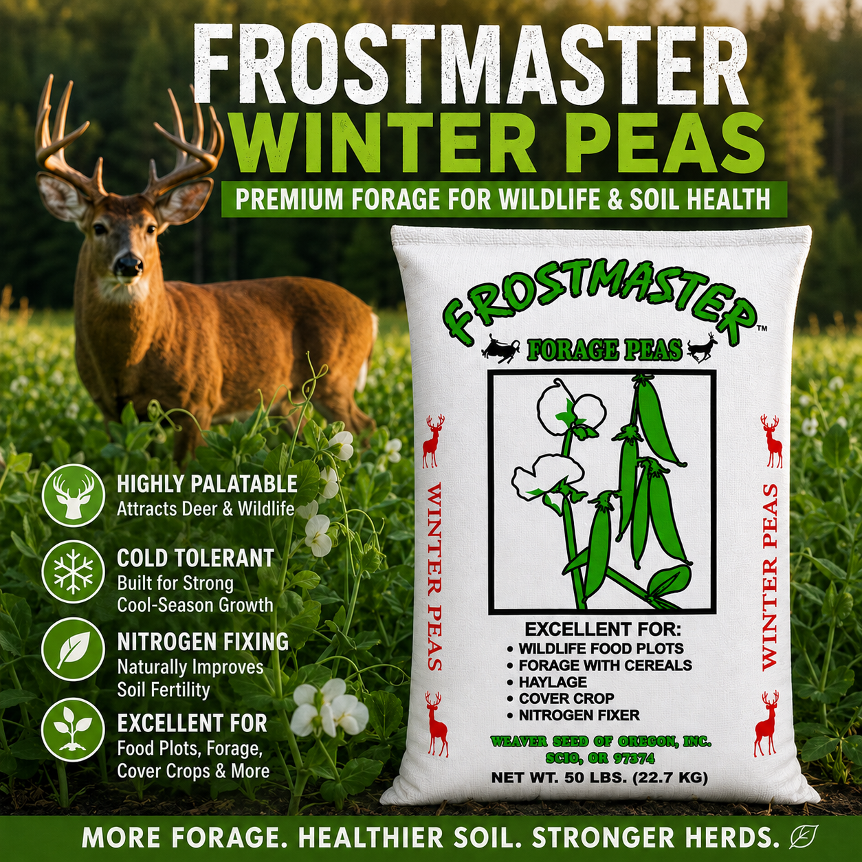 winter garden feed and seed Frost Master Winter Pea Seed