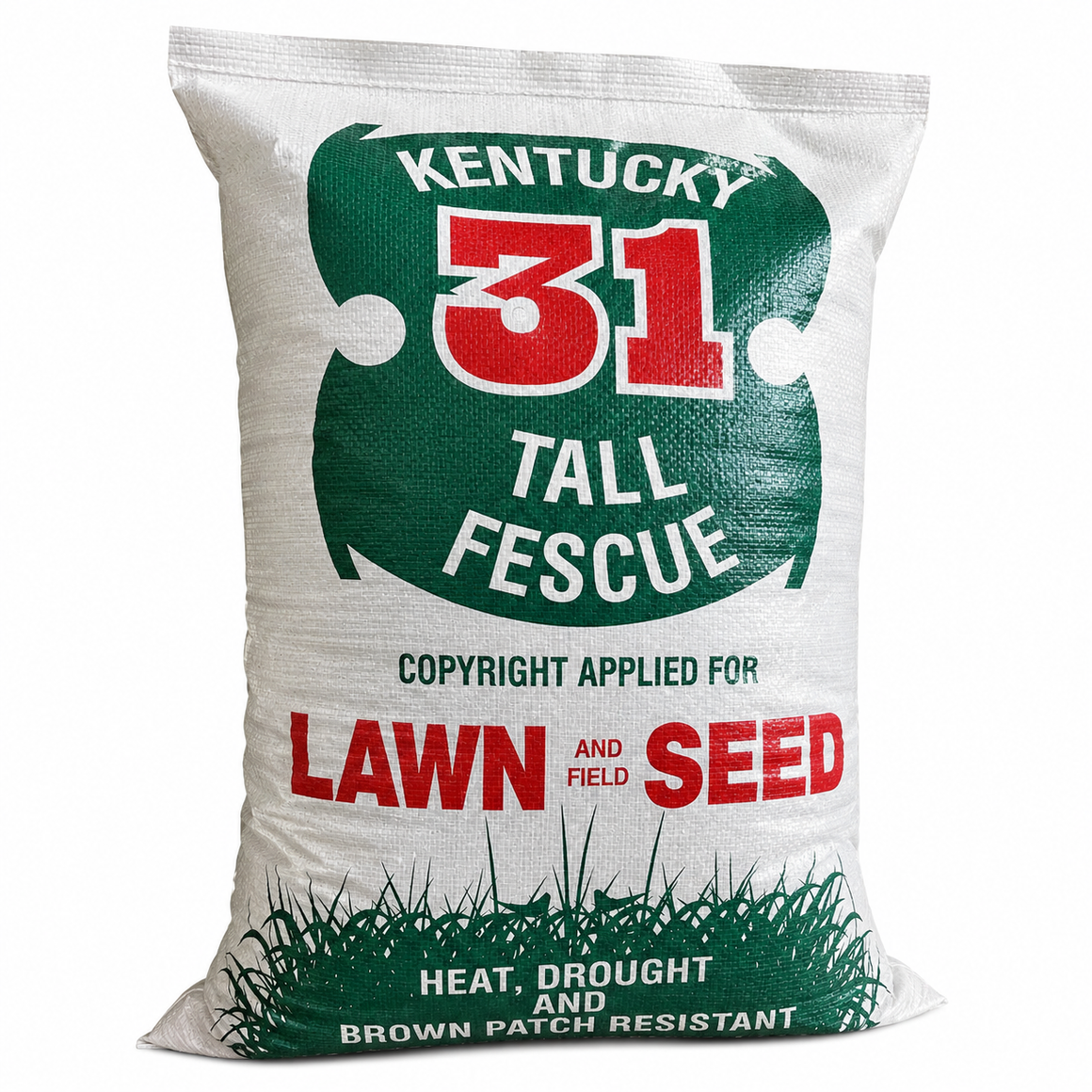 Kentucky 31 Tall Fescue Grass Seed (Raw)