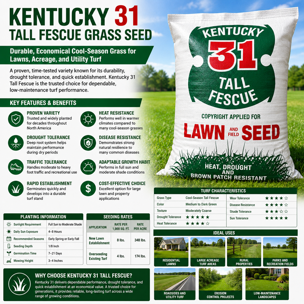 Kentucky 31 Tall Fescue Grass Seed (Raw)