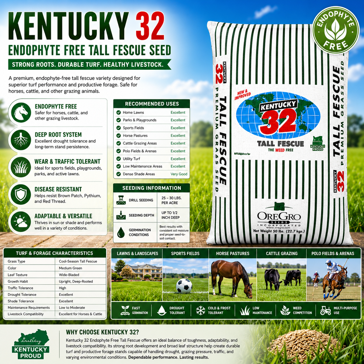 lowe's fescue grass seed Kentucky 32 Tall Fescue Grass Seed (Endophyte Free) 50 Lbs