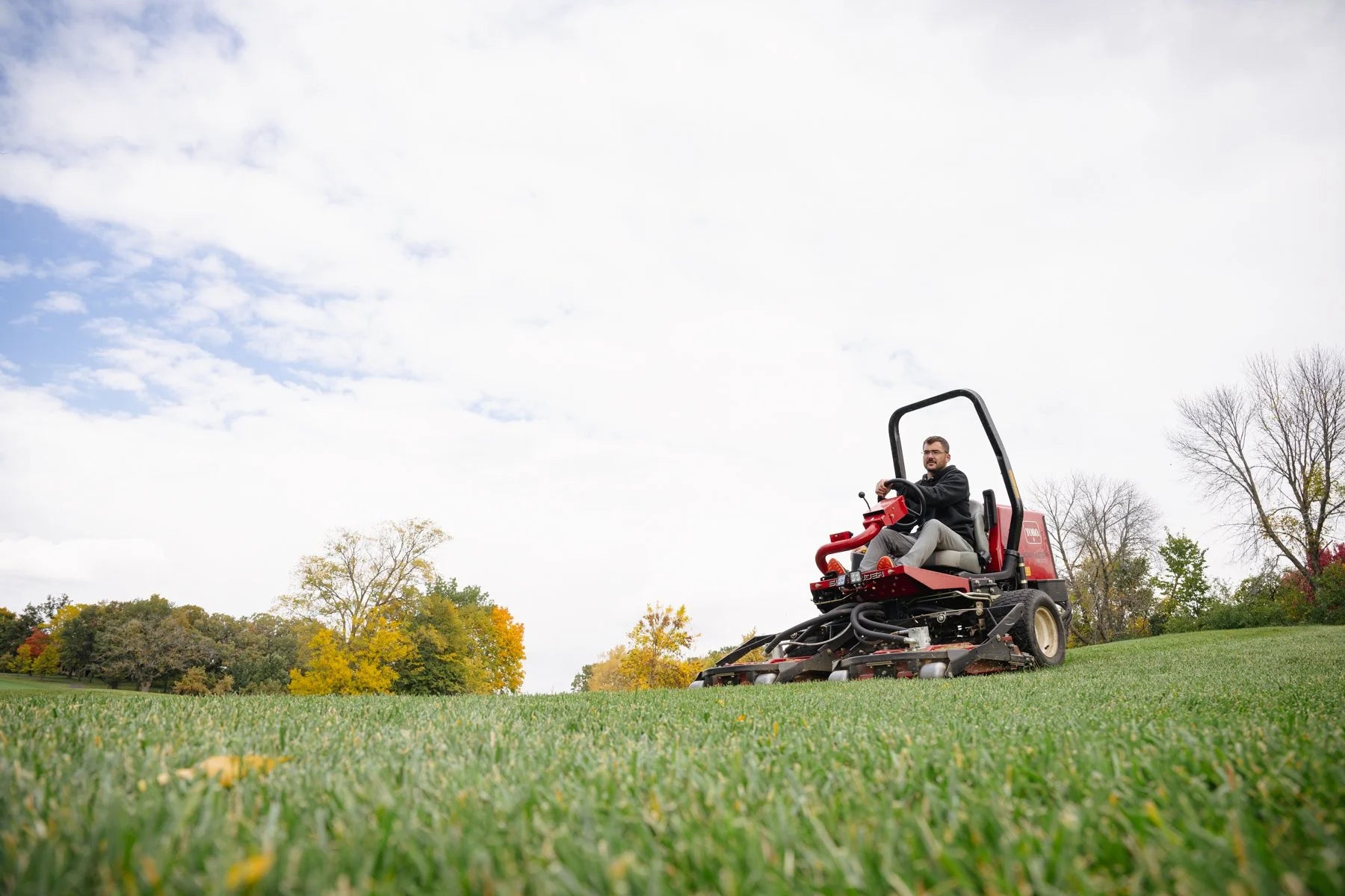 After Midnight Kentucky Bluegrass Seed - Seed World