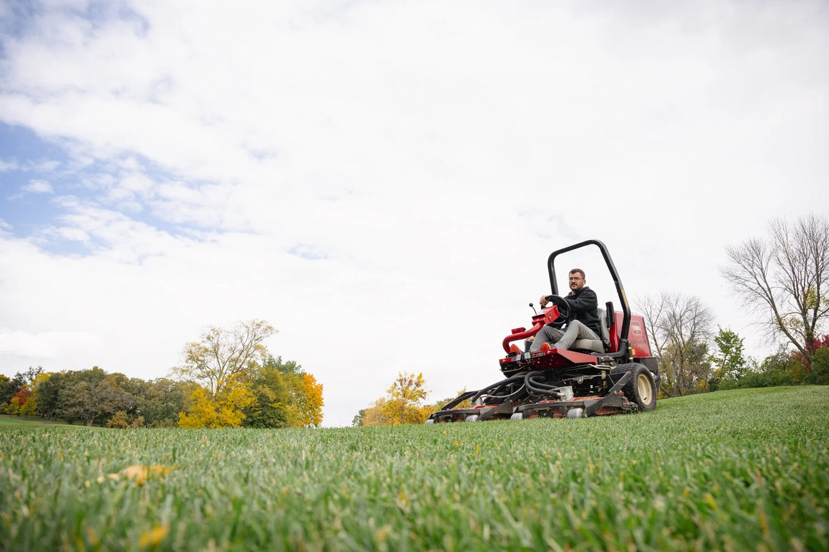 After Midnight Kentucky Bluegrass Seed - Seed World