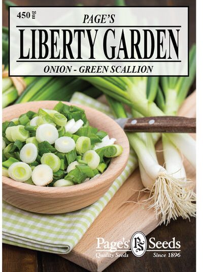 Onion Green Scallion Seeds - 1 Packet