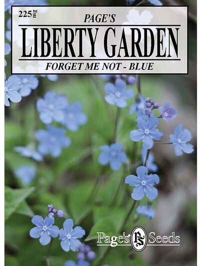 Forget Me Not - Blue - 1 Packet