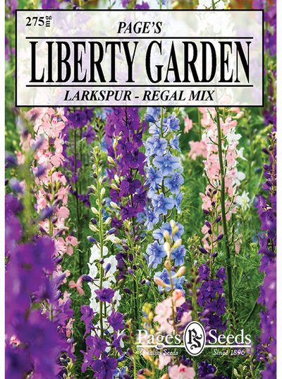 Larkspur Regal Mix Seed - 1 Packet