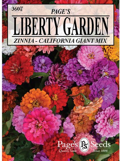 Zinnia California Giant Seed - 1 Packet