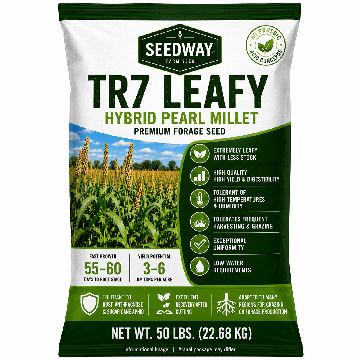 Leafy TR7 Hybrid Pearl Millet Seed
