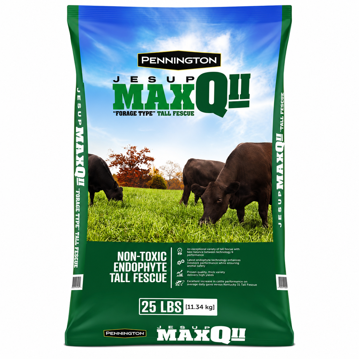 Jesup MaxQ II Forage Type Tall Fescue Grass Seed