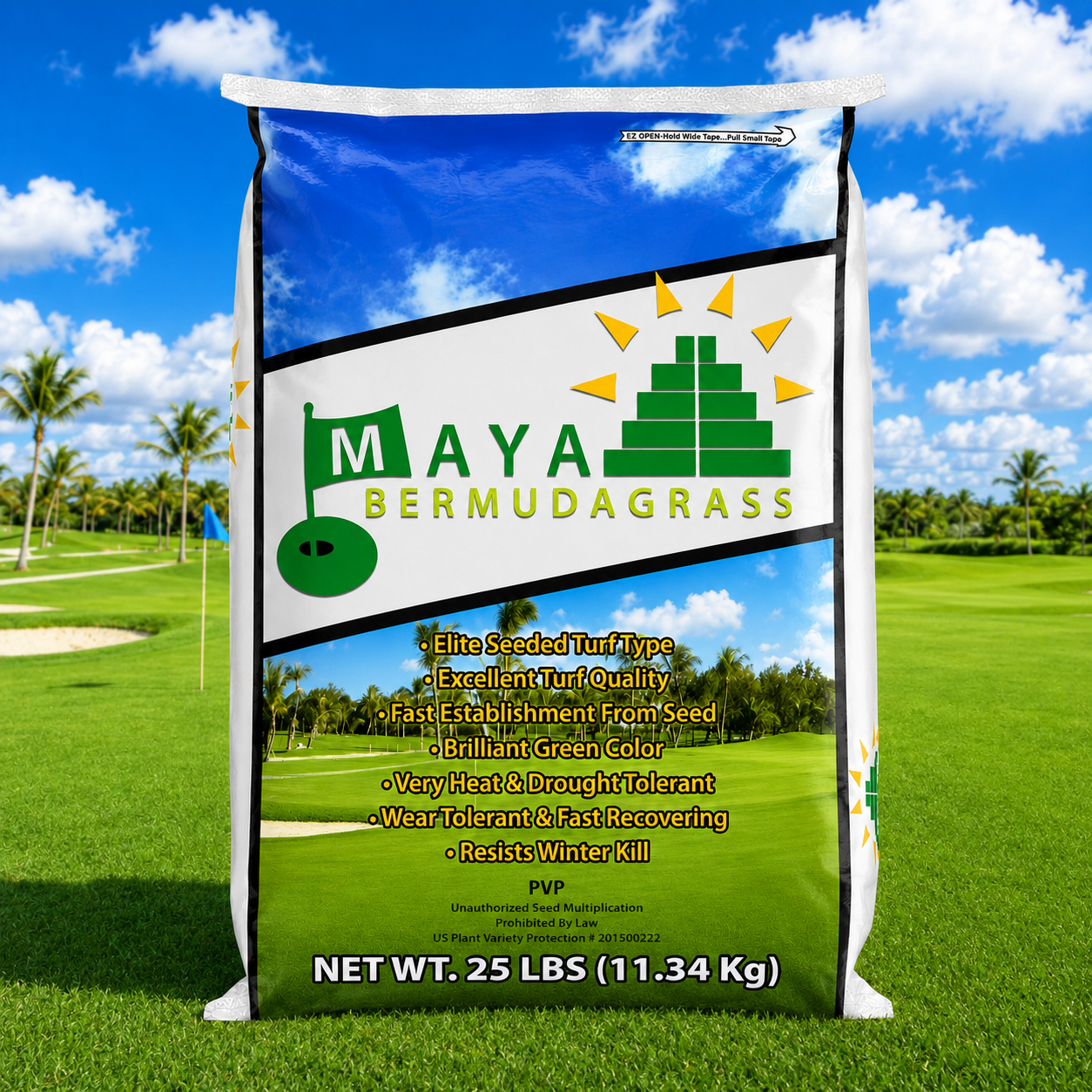 Maya Bermuda Grass Seed (Hulled & Coated)