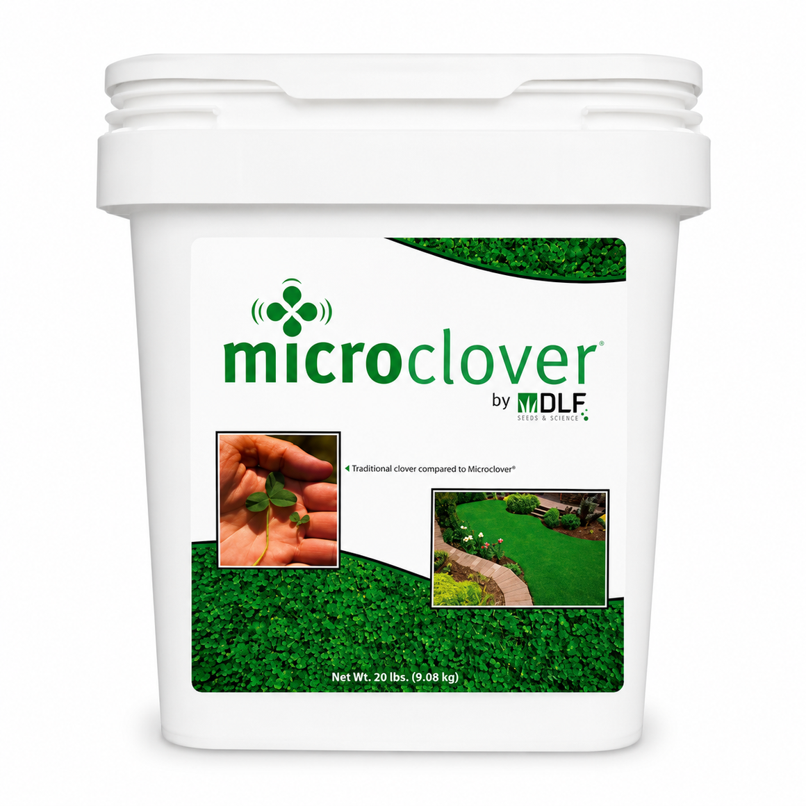 Micro Clover Seed Coated & Inoculated