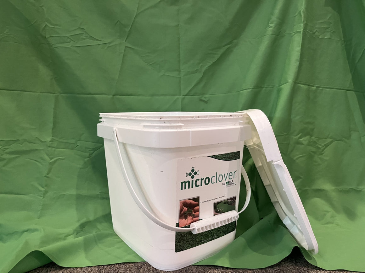 Used 4 Gallon Bucket - Seed World