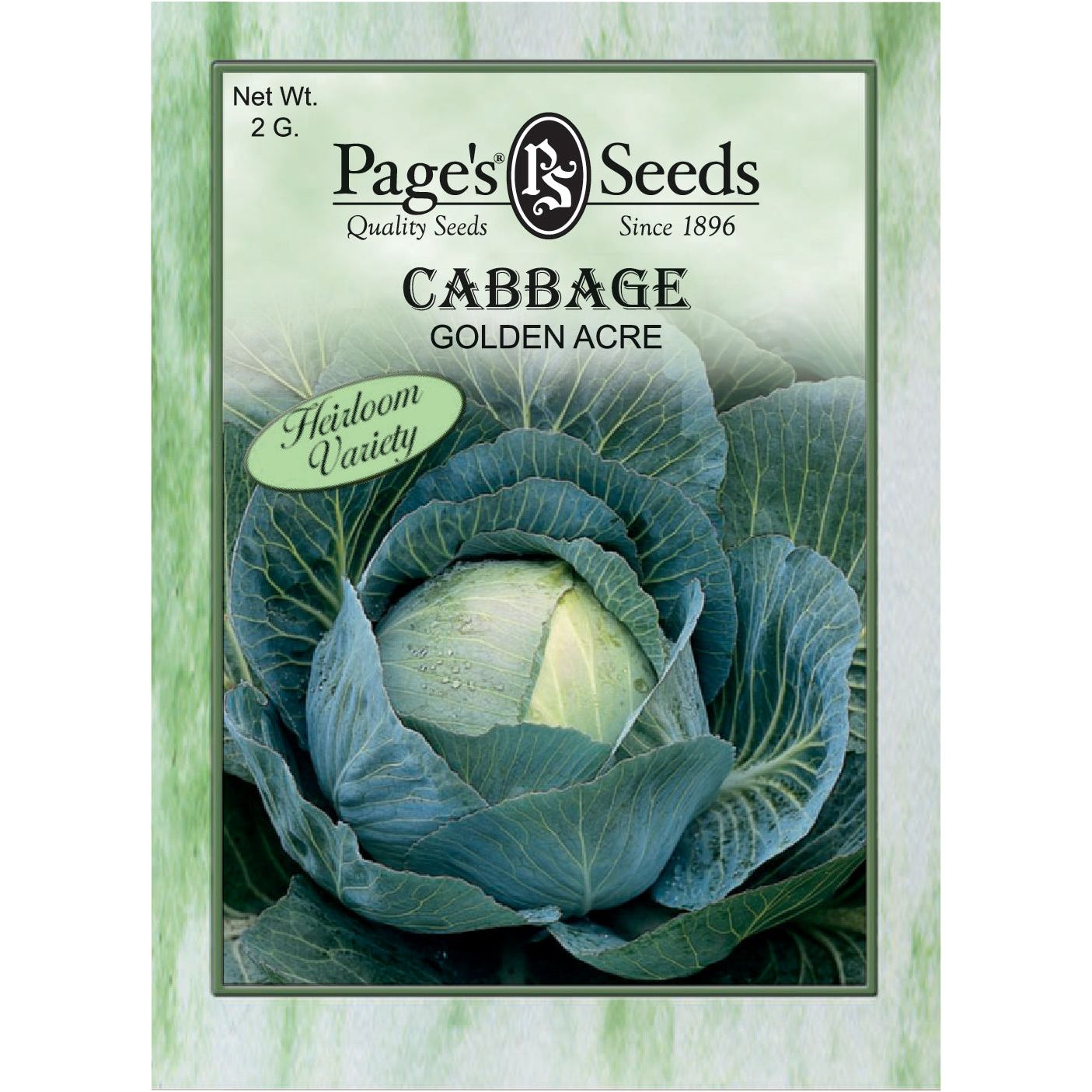 cabbage plant seeds Cabbage Golden Acre Seed Heirloom