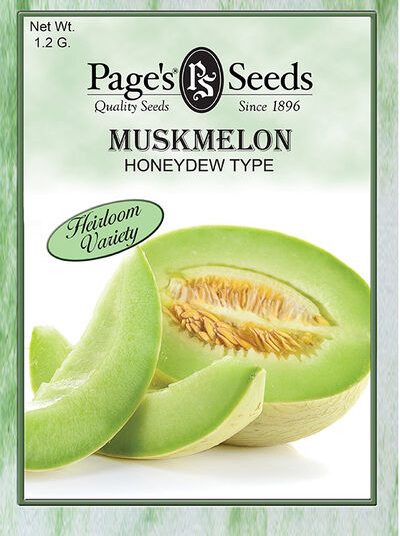 Honeydew Type Muskmelon - Packet - Seed World