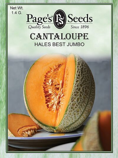 Cantaloupe Hale's Best Seed - 1 Packet - Seed World