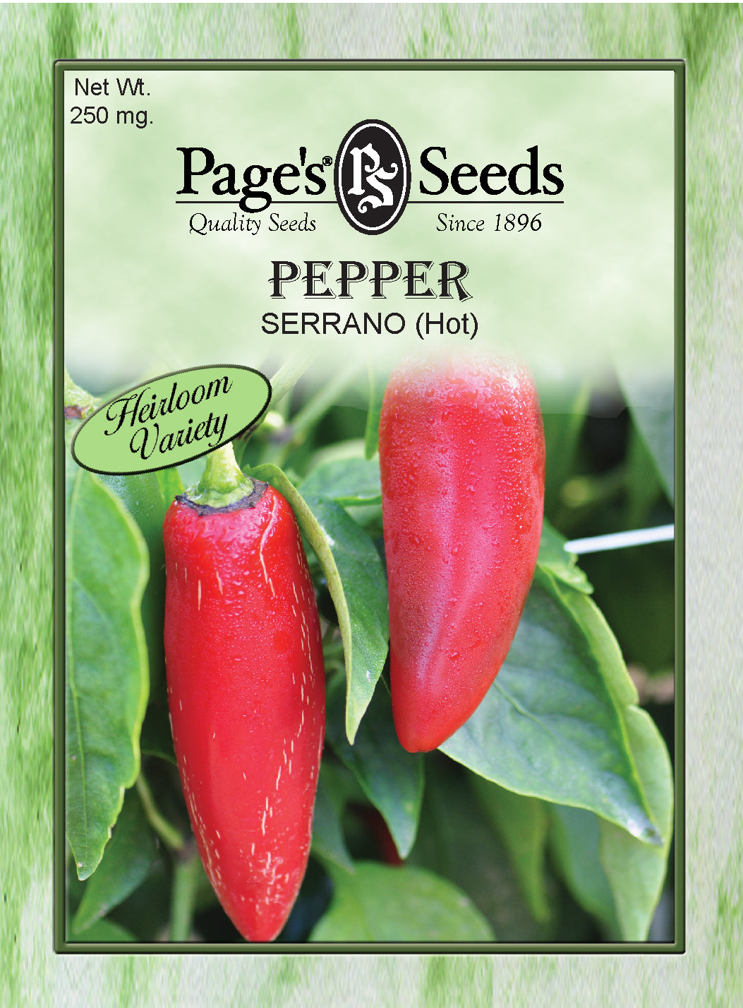 Serrano (Hot) Pepper Seeds - 1 Packet