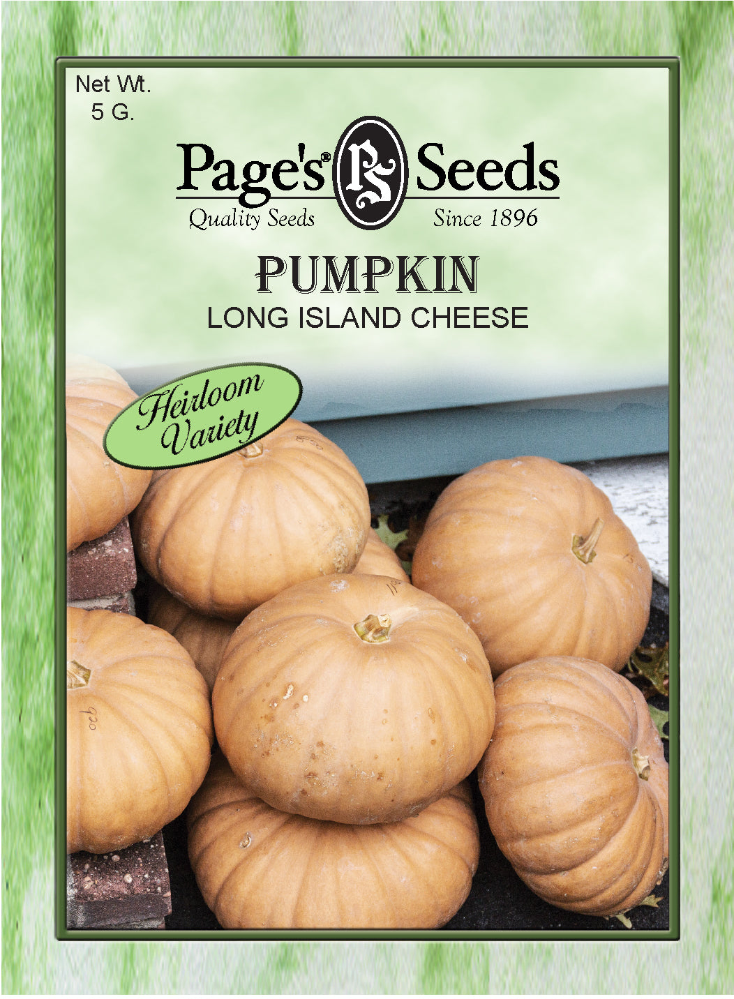 Pumpkin Long Island Cheese Seeds - 1 Packet