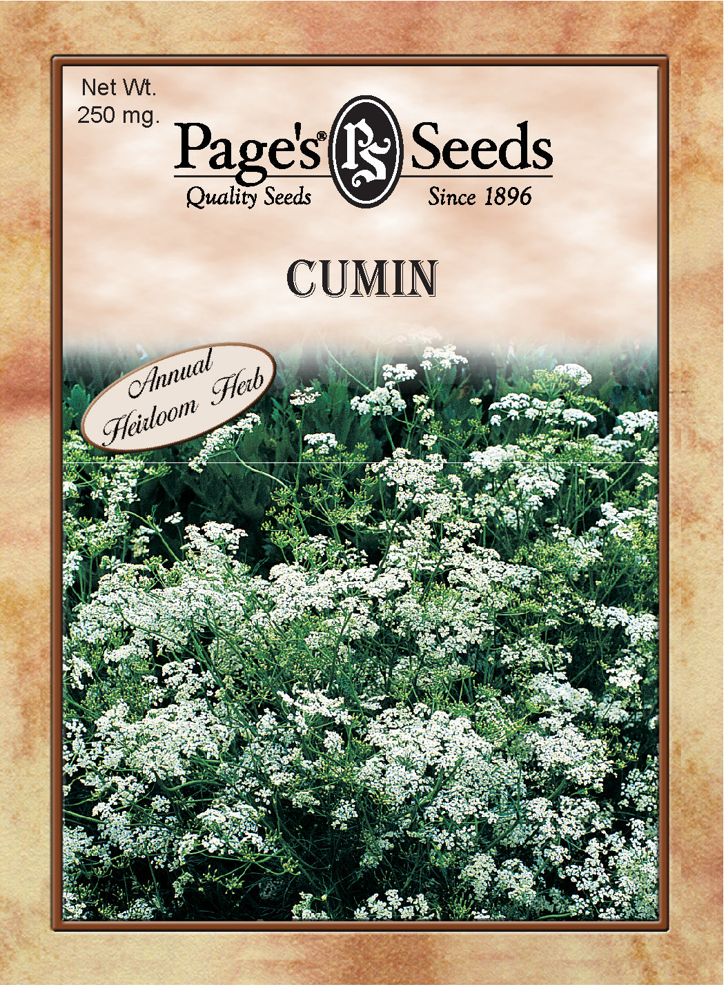 Cumin Seeds - 1 Packet