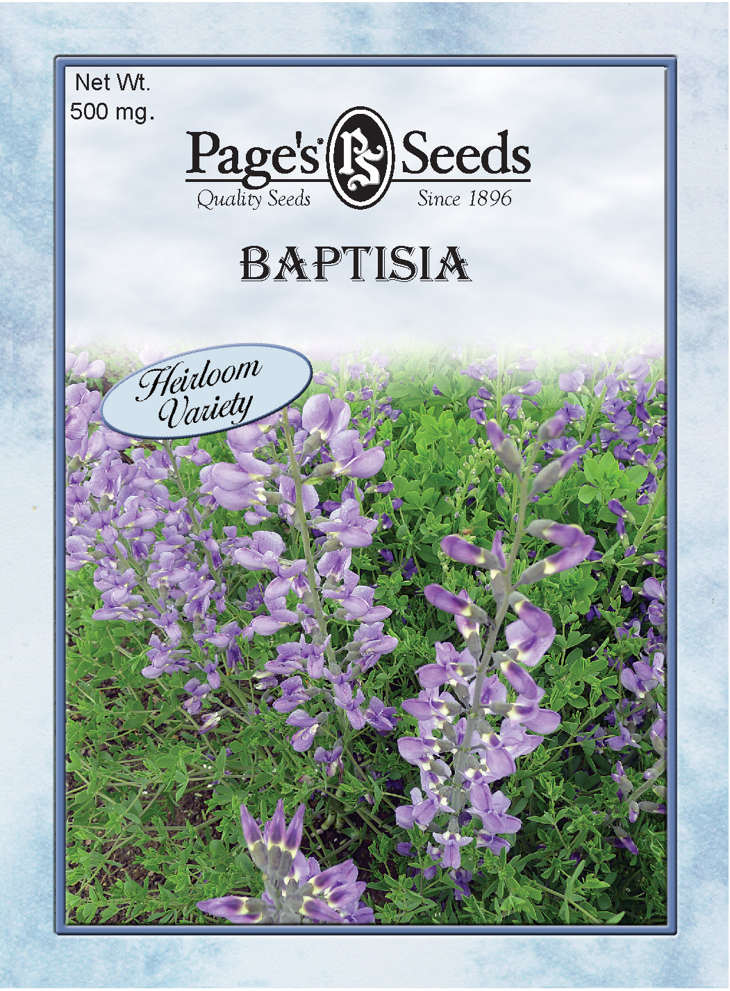 Baptisia, Blue Wild Indigo Seeds - 1 Packet - Seed World