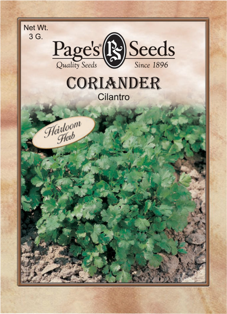 Coriander Herb Seed - 1 Packet
