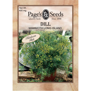 Dill Mammoth Long Island Seeds - 1 Packet - Seed World