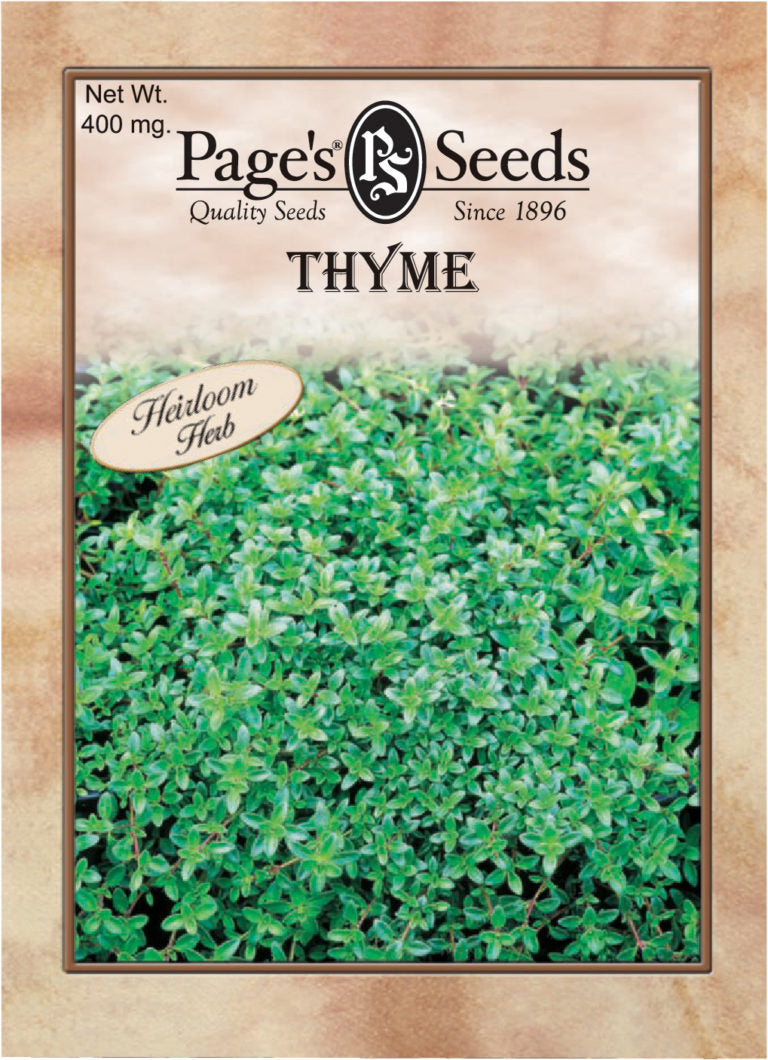 Thyme Seeds - 1 Packet - Seed World