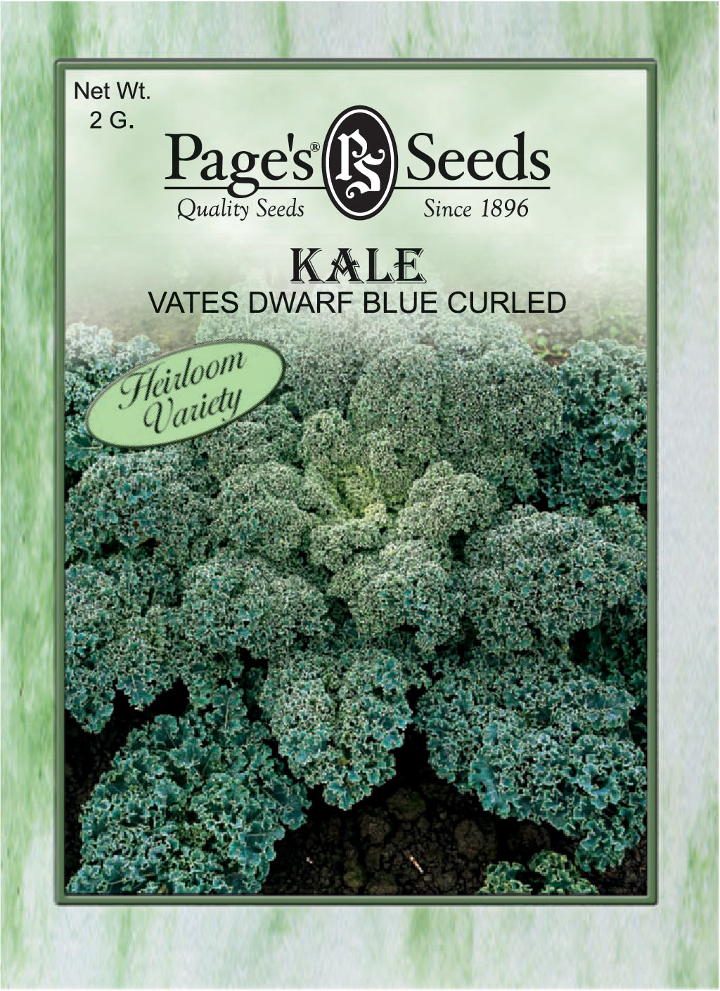 Kale Vates Dwarf Blue Curled Seed Heirloom - 1 Packet