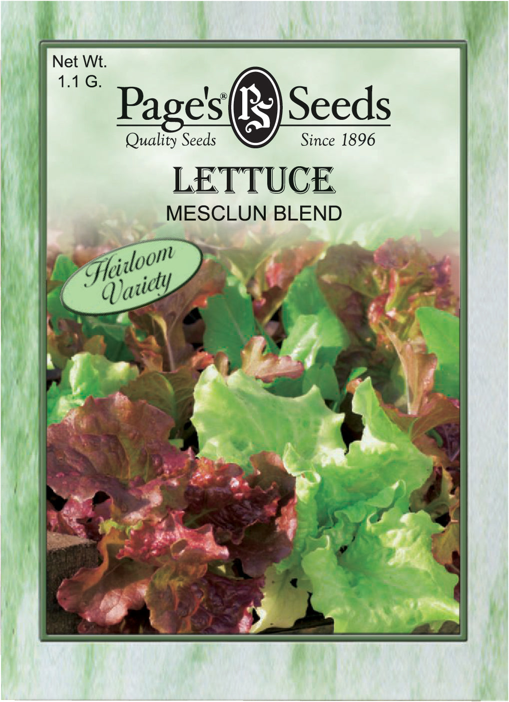 Lettuce Mesclun Blend Seed Heirloom - 1 Packet - Seed World