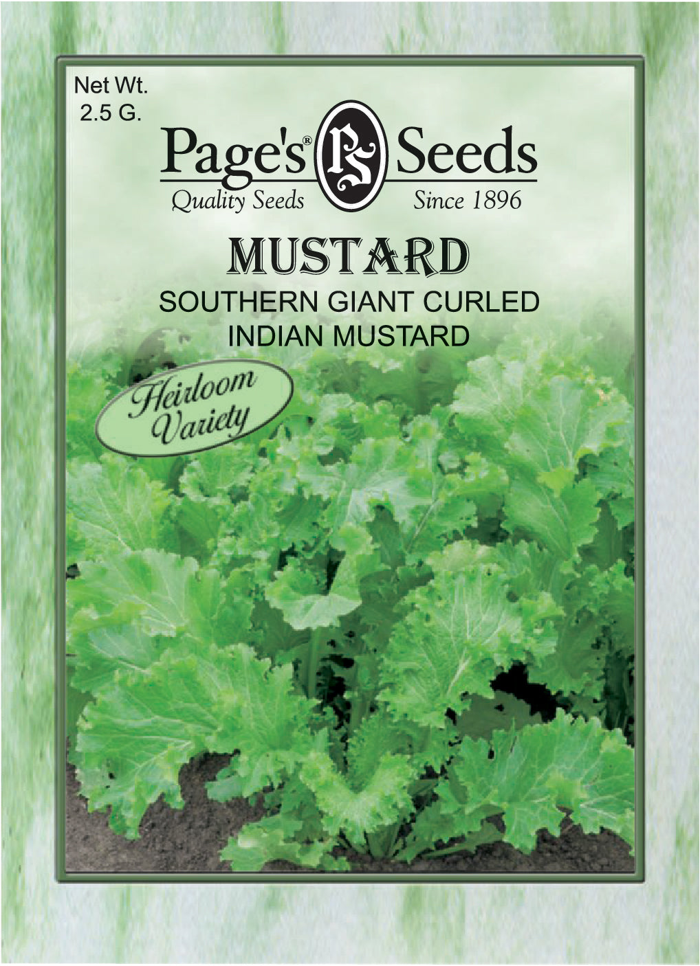 Mustard Southern Giant Curled Seeds - 1 Packet