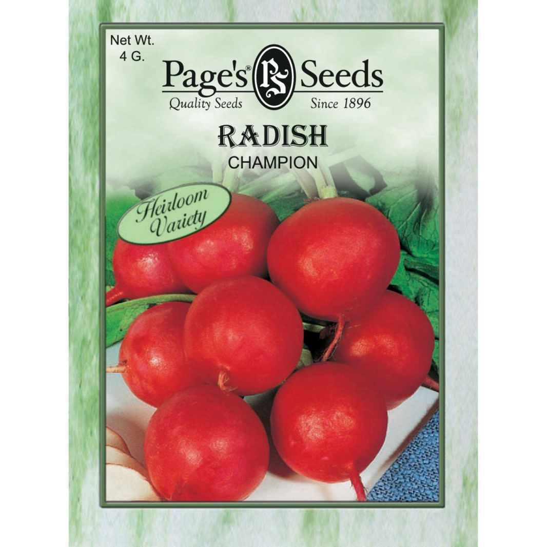 Radish Champion Seed - 1 Packet - Seed World