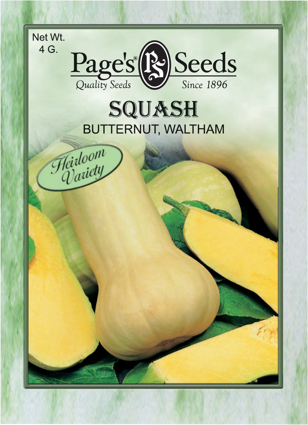 Squash Butternut Waltham Seed - 1 Packet
