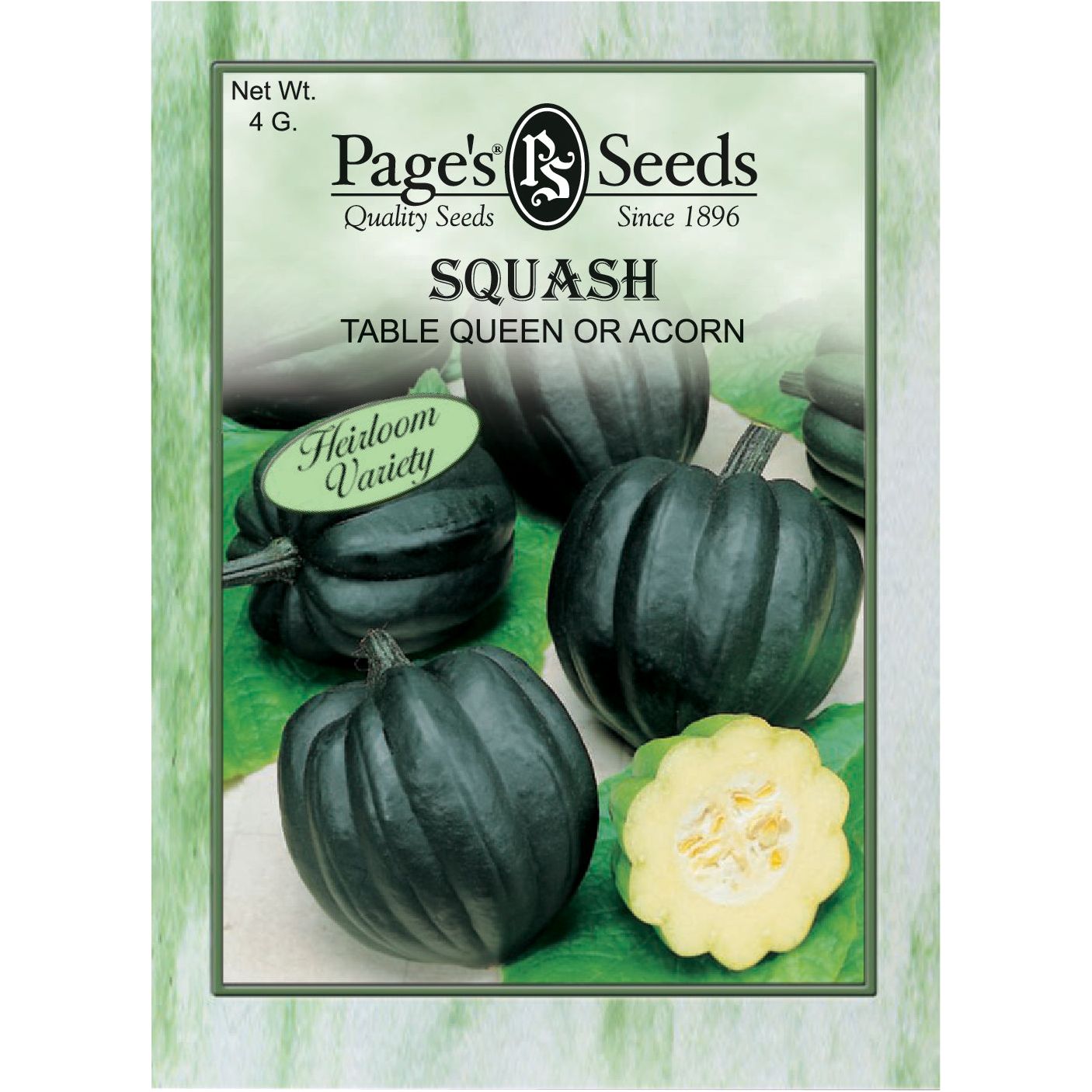 acorn squash seeds for planting Squash Table Queen or Acorn Seed