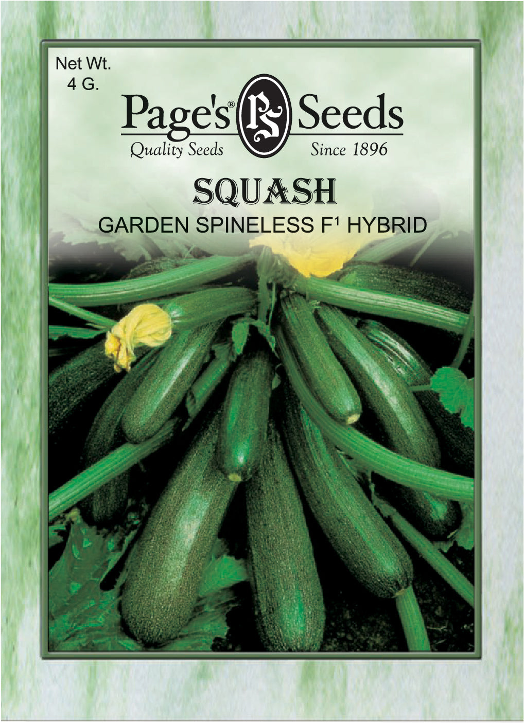 Squash Garden Spineless Hybrid Seeds - 1 packet - Seed World