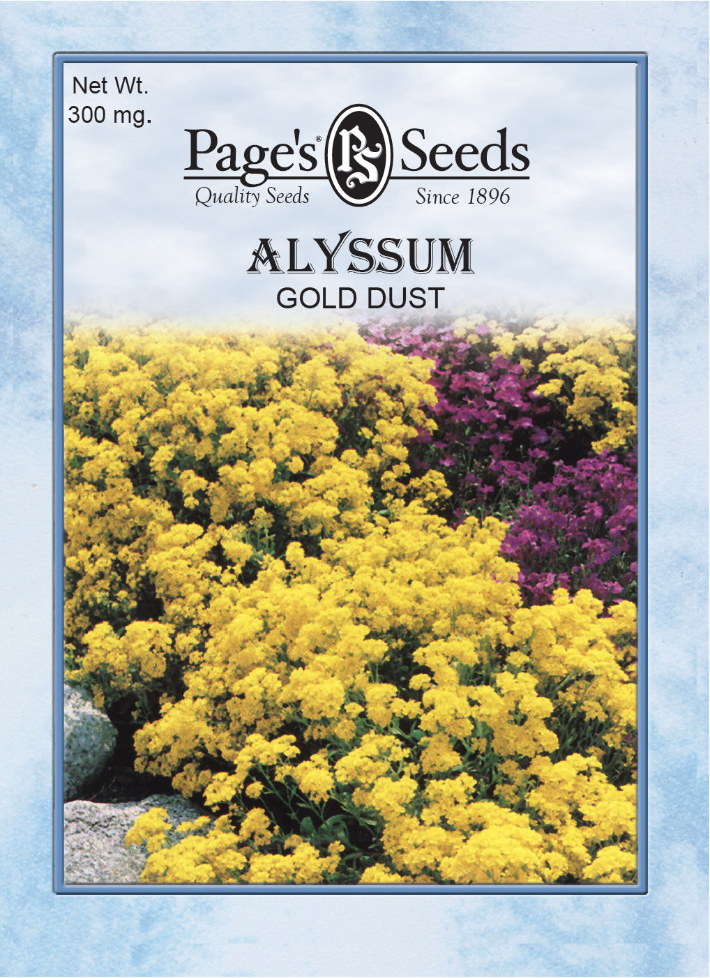 golden flower seeds Alyssum Gold Dust Seeds