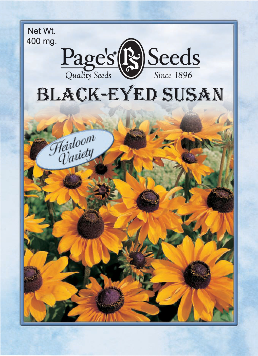 Blackeyed Susan Seeds - 1 Packet - Seed World